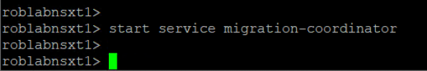 Starting the migration coordinator for the command line